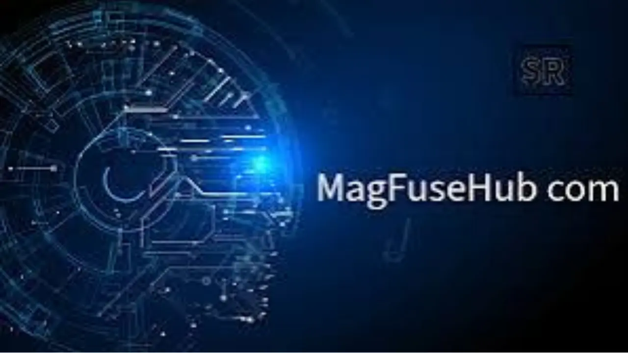 Complete Guide to the Multi Niche Platform MagFuseHub com